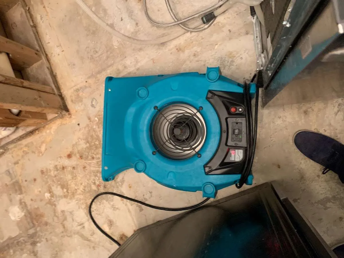 Air mover drying equipment for Mold Remediation & Removal in Wrightsboro